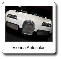 Vienna Autosalon